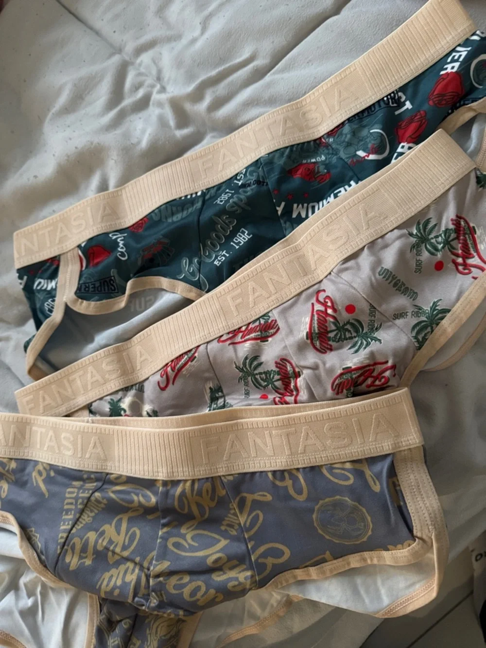Fantasia Men's 3-Pack Printed Briefs - Teal, White, Gray